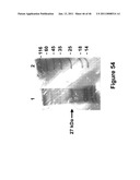 METHODS OF AND COMPOSITIONS FOR INHIBITING THE PROLIFERATION OF MAMMALIAN CELLS diagram and image