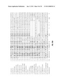 TOLL-LIKE RECEPTOR 5 LIGANDS AND METHODS OF USE diagram and image