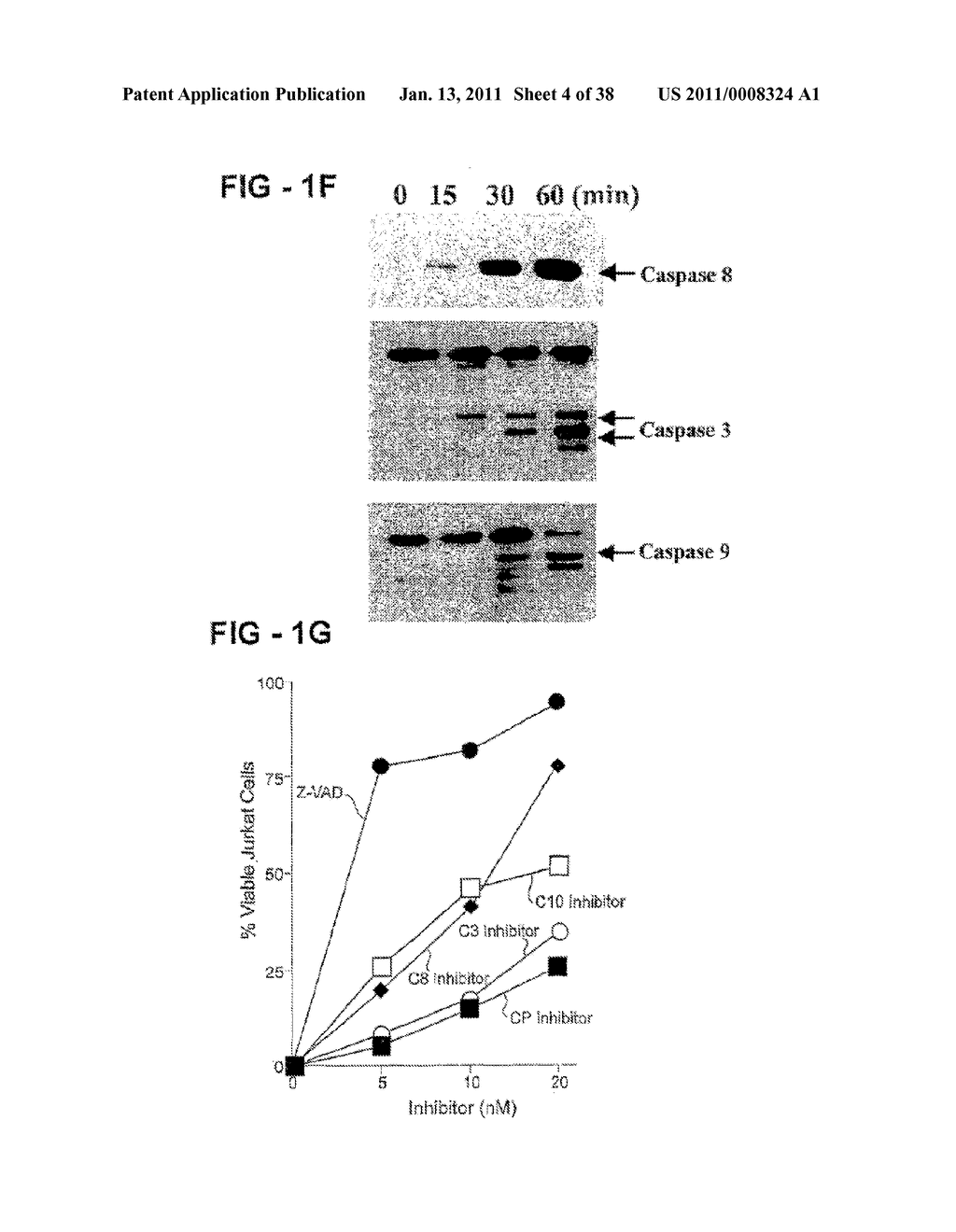 Antibody Selective for a Tumor Necrosis Factor-Related Apoptosis-Inducing Ligand Receptor and Uses Thereof - diagram, schematic, and image 05