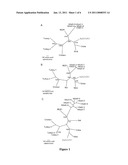 IDENTIFICATION OF ASTROVIRUS VA1 ASSOCIATED WITH GASTROENTERITIS IN HUMANS diagram and image