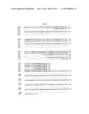 ERYTHROPOIETIN VARIANTS diagram and image