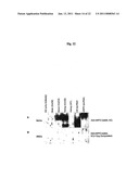 ERYTHROPOIETIN VARIANTS diagram and image