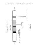 COMPOSITIONS OF TOLL-LIKE RECEPTOR AGONISTS AND MALARIA ANTIGENS AND METHODS OF USE diagram and image