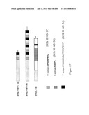 COMPOSITIONS OF TOLL-LIKE RECEPTOR AGONISTS AND MALARIA ANTIGENS AND METHODS OF USE diagram and image