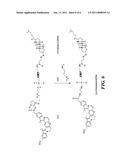 MIXED MICELLES INCLUDING AMPHIPATHIC CONJUGATES OF RNA AGENTS, AND USES THEREOF diagram and image