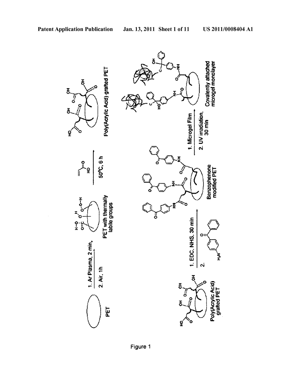 Modification Of Biomaterials With Microgel Films - diagram, schematic, and image 02