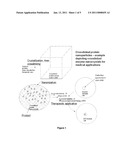 Crosslinked Protein Nanocrystals, Crosslinked Protein Nanoaggregates and Method of Preparation Thereof diagram and image