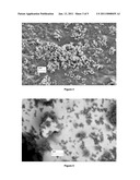 Crosslinked Protein Nanocrystals, Crosslinked Protein Nanoaggregates and Method of Preparation Thereof diagram and image