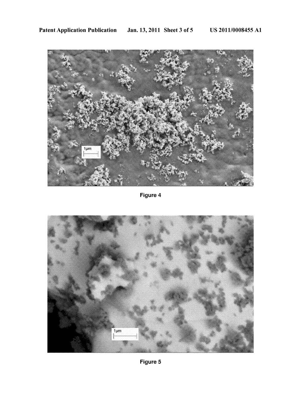 Crosslinked Protein Nanocrystals, Crosslinked Protein Nanoaggregates and Method of Preparation Thereof - diagram, schematic, and image 04