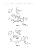 INHIBITOR SCAFFOLD FOR THE INHIBITION OF THE ENZYME PHOSPHOENOLPYRUVATE CARBOXYKINASE diagram and image