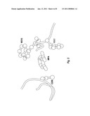 INHIBITOR SCAFFOLD FOR THE INHIBITION OF THE ENZYME PHOSPHOENOLPYRUVATE CARBOXYKINASE diagram and image