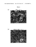 Catalyst Layer for Fuel Cell Membrane Electrode Assembly, Fuel Cell Membrane Electrode Assembly Using the Catalyst Layer, Fuel Cell, and Method for Producing the Catalyst Layer diagram and image