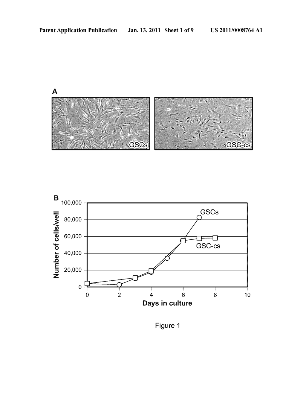 HUMAN GONADAL STEM CELLS - diagram, schematic, and image 02