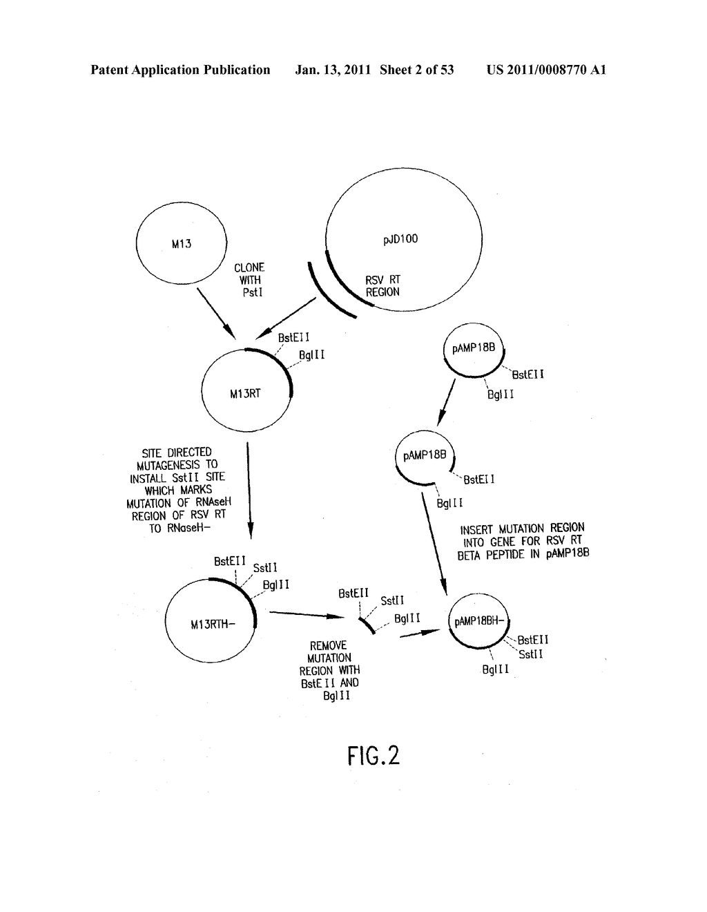 COMPOSITIONS AND METHODS FOR REVERSE TRANSCRIPTION OF NUCLEIC ACID MOLECULES - diagram, schematic, and image 03