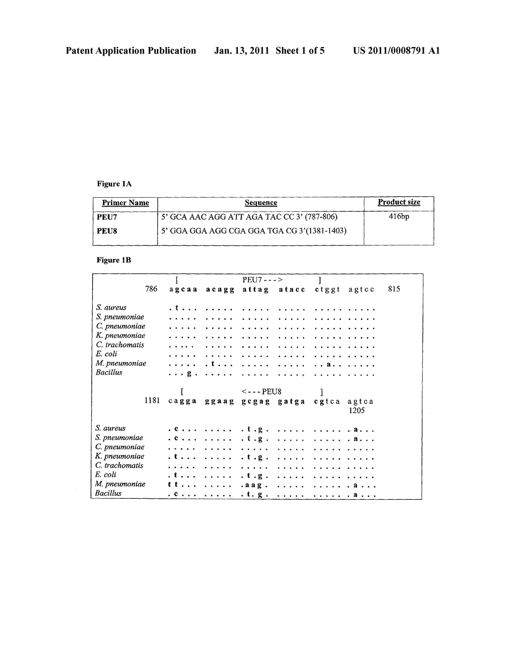 Molecular Diagnosis of Bacteremia - diagram, schematic, and image 02