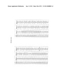 Markers Associate with Arteriovascular Events and Methods of Use Thereof diagram and image