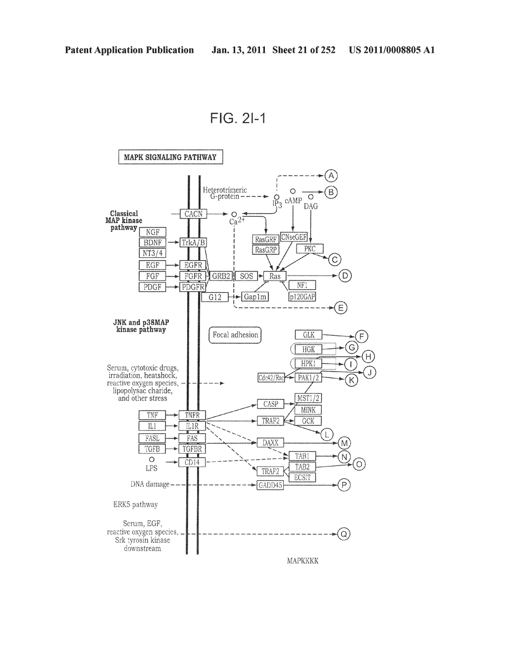 Markers Associate with Arteriovascular Events and Methods of Use Thereof - diagram, schematic, and image 22