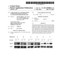 LABELED MOLECULE FOR PROGNOSING TUMOR GRADE OF HEAD AND NECK CANCER AND METHOD FOR THE SAME diagram and image