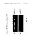 PROTEIN PRODUCTION IN PLANT CELLS AND ASSOCIATED METHODS AND COMPOSITIONS diagram and image