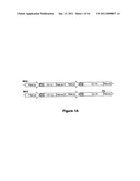 MODIFYING GLYCOPROTEIN PRODUCTION IN PLANS diagram and image