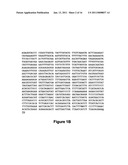 MODIFYING GLYCOPROTEIN PRODUCTION IN PLANS diagram and image