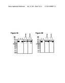 MODIFYING GLYCOPROTEIN PRODUCTION IN PLANS diagram and image