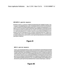 MODIFYING GLYCOPROTEIN PRODUCTION IN PLANS diagram and image