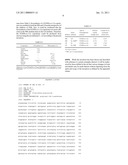 Recombinant Microorganism Capable Of Producing Polylactate Or Polylactate Copolymer From Sucrose And Method For Producing Polylactate Or Polylactate Copolymer From Sucrose Using The Same diagram and image