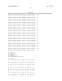 Recombinant Microorganism Capable Of Producing Polylactate Or Polylactate Copolymer From Sucrose And Method For Producing Polylactate Or Polylactate Copolymer From Sucrose Using The Same diagram and image