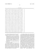 Recombinant Microorganism Capable Of Producing Polylactate Or Polylactate Copolymer From Sucrose And Method For Producing Polylactate Or Polylactate Copolymer From Sucrose Using The Same diagram and image