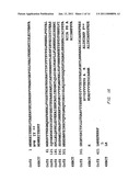 Biological Systems for Manufacture of Polyhydroxyalkanoate Polymers Containing 4-Hydroxyacids diagram and image