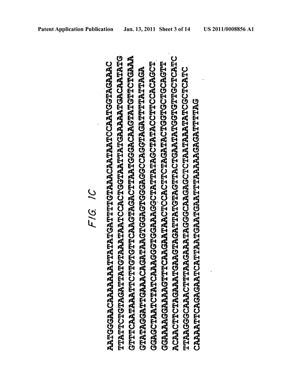 Biological Systems for Manufacture of Polyhydroxyalkanoate Polymers Containing 4-Hydroxyacids - diagram, schematic, and image 04