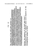 Biological Systems for Manufacture of Polyhydroxyalkanoate Polymers Containing 4-Hydroxyacids diagram and image