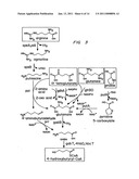 Biological Systems for Manufacture of Polyhydroxyalkanoate Polymers Containing 4-Hydroxyacids diagram and image