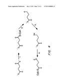 Biological Systems for Manufacture of Polyhydroxyalkanoate Polymers Containing 4-Hydroxyacids diagram and image