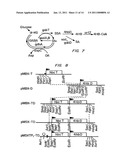 Biological Systems for Manufacture of Polyhydroxyalkanoate Polymers Containing 4-Hydroxyacids diagram and image