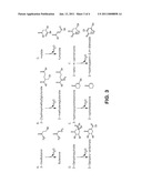 MICROORGANISMS AND METHODS FOR CARBON-EFFICIENT BIOSYNTHESIS OF MEK AND 2-BUTANOL diagram and image