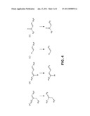 MICROORGANISMS AND METHODS FOR CARBON-EFFICIENT BIOSYNTHESIS OF MEK AND 2-BUTANOL diagram and image