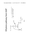 Engineered CO2 Fixing Microorganisms Producing Carbon-Based Products of Interest diagram and image