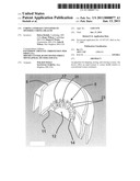 CORNEA STORAGE CONTAINER TO OPTIMIZE CORNEA HEALTH diagram and image