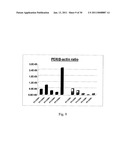 EPHA4-POSITIVE HUMAN ADULT PANCREATIC ENDOCRINE PROGENITOR CELLS diagram and image