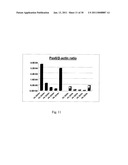 EPHA4-POSITIVE HUMAN ADULT PANCREATIC ENDOCRINE PROGENITOR CELLS diagram and image