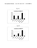 EPHA4-POSITIVE HUMAN ADULT PANCREATIC ENDOCRINE PROGENITOR CELLS diagram and image