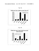 EPHA4-POSITIVE HUMAN ADULT PANCREATIC ENDOCRINE PROGENITOR CELLS diagram and image