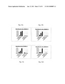 EPHA4-POSITIVE HUMAN ADULT PANCREATIC ENDOCRINE PROGENITOR CELLS diagram and image