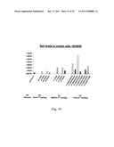 EPHA4-POSITIVE HUMAN ADULT PANCREATIC ENDOCRINE PROGENITOR CELLS diagram and image