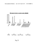 EPHA4-POSITIVE HUMAN ADULT PANCREATIC ENDOCRINE PROGENITOR CELLS diagram and image