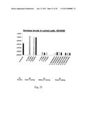 EPHA4-POSITIVE HUMAN ADULT PANCREATIC ENDOCRINE PROGENITOR CELLS diagram and image