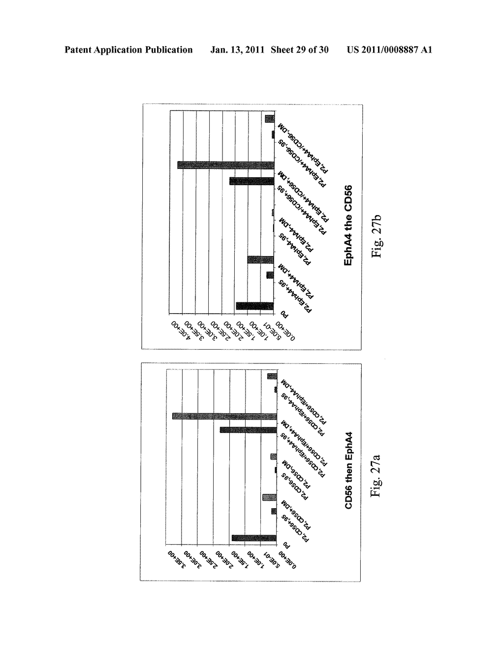 EPHA4-POSITIVE HUMAN ADULT PANCREATIC ENDOCRINE PROGENITOR CELLS - diagram, schematic, and image 30