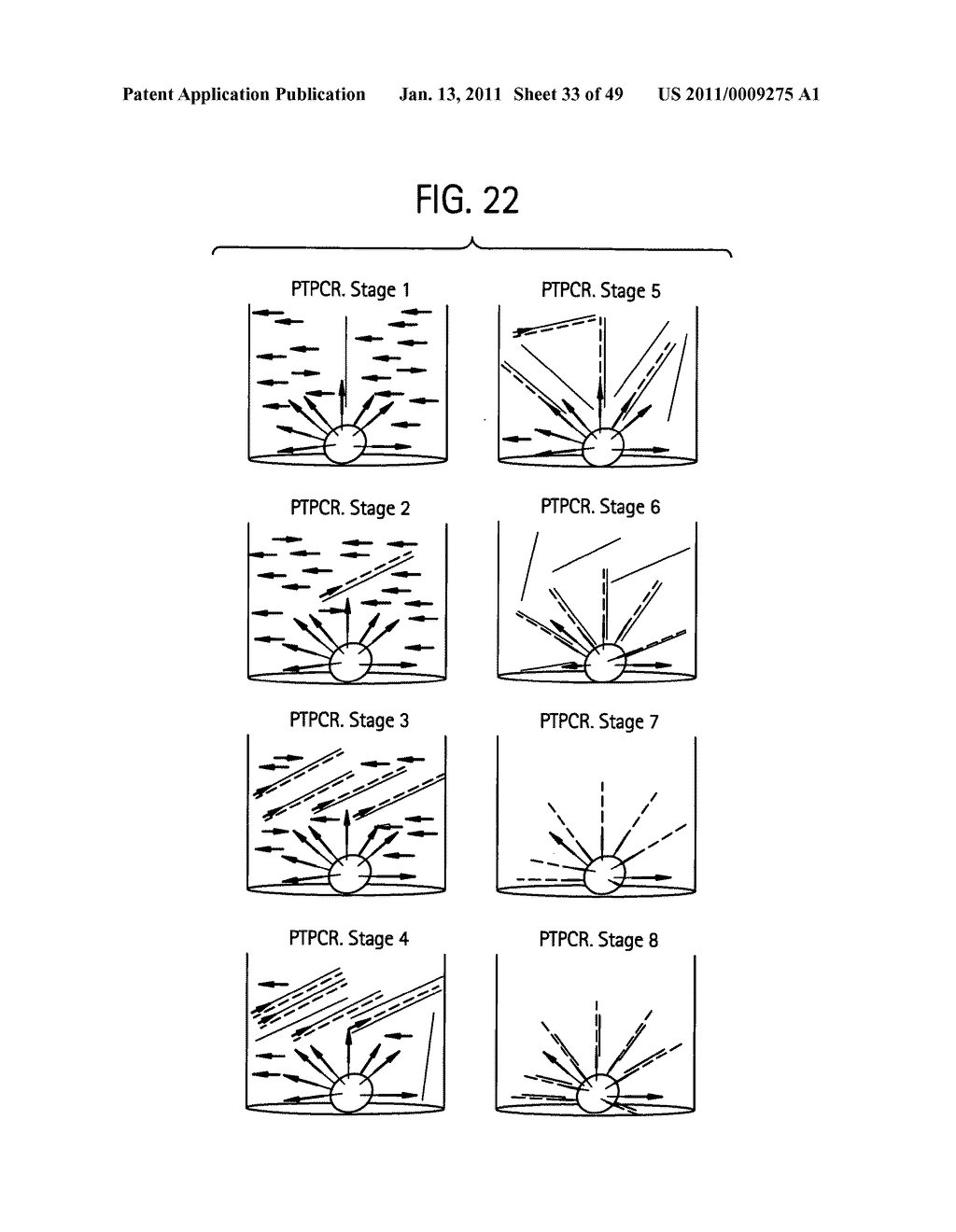 Methods of amplifying and sequencing nucleic acids - diagram, schematic, and image 34